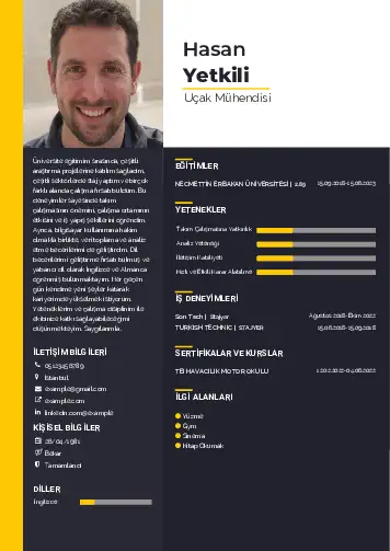 Havacılık Ve Uzay Uçak Mühendisi Cv Örnekleri cv indir